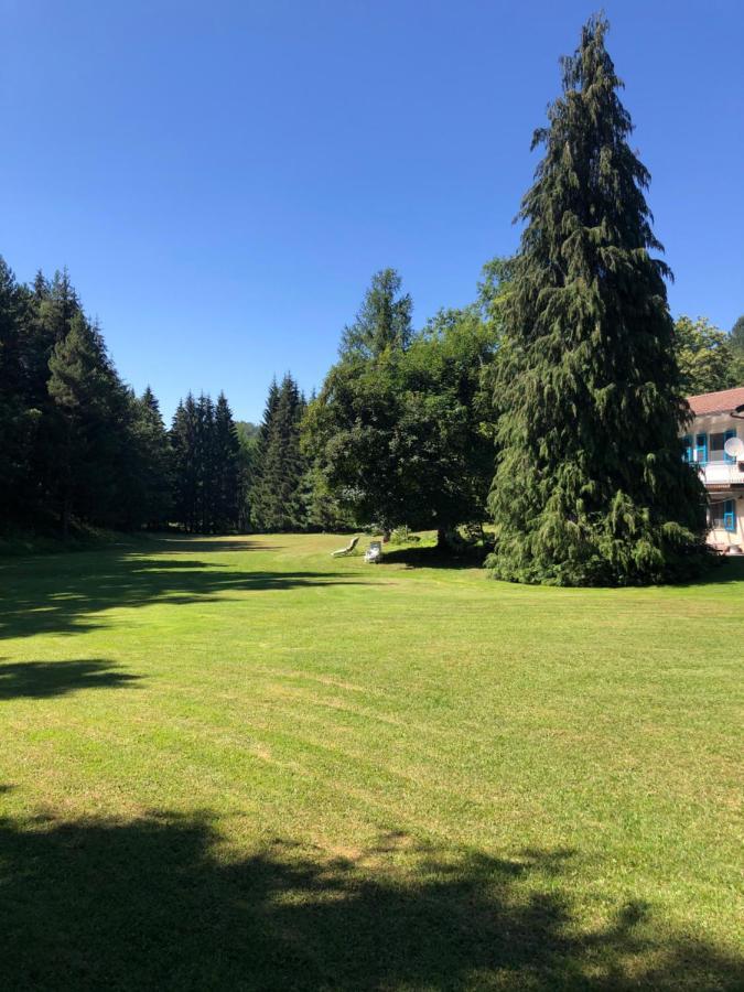 Вилла Agriturismo La Casa Nel Bosco Boveglio Экстерьер фото