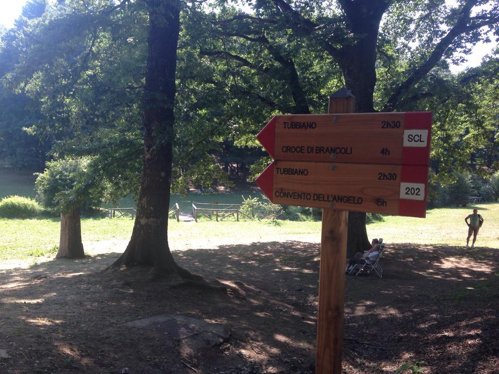 Agriturismo La Casa Nel Bosco Boveglio Экстерьер фото