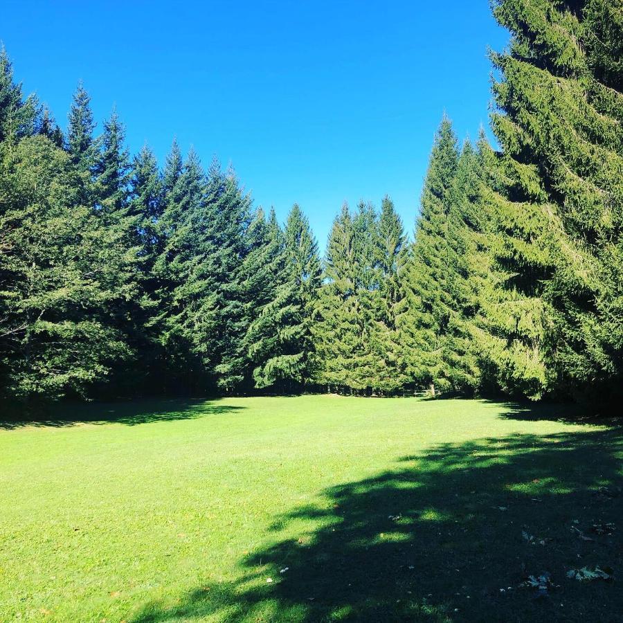Agriturismo La Casa Nel Bosco Boveglio Экстерьер фото