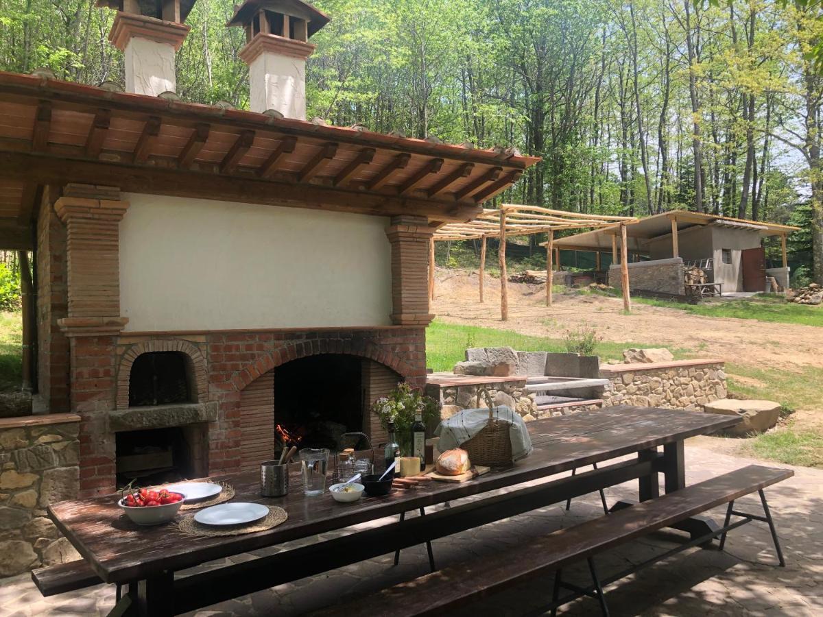 Agriturismo La Casa Nel Bosco Boveglio Экстерьер фото
